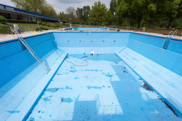 Best Professional water damage repair  in Elk Creek, KY