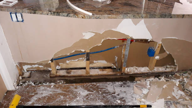 Best Water damage restoration near me  in Elk Creek, KY