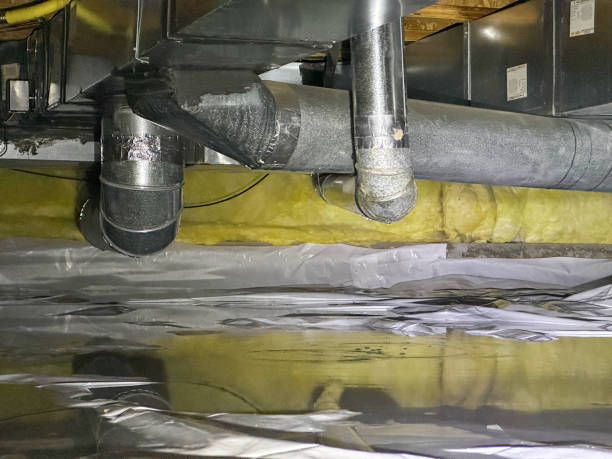  Elk Creek, KY Water damage restoration Pros