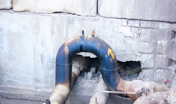 Best Flood damage cleanup  in Elk Creek, KY