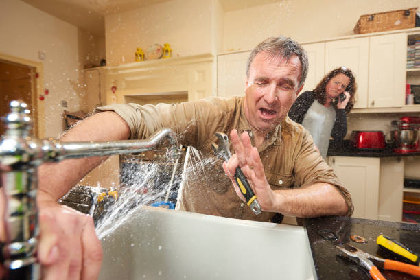 Best Flooded house restoration  in Elk Creek, KY